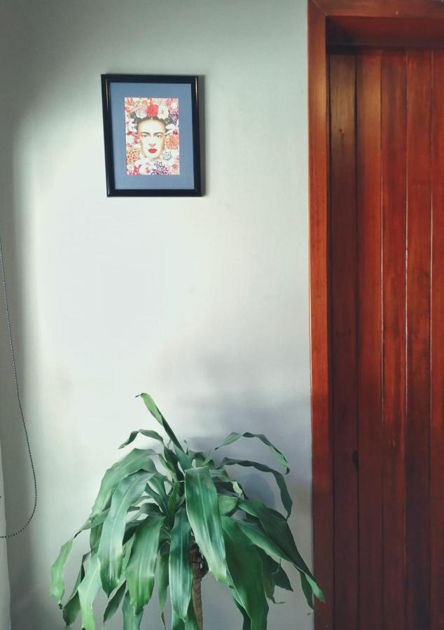 Hostel Casa Violeta Tepic Zewnętrze zdjęcie